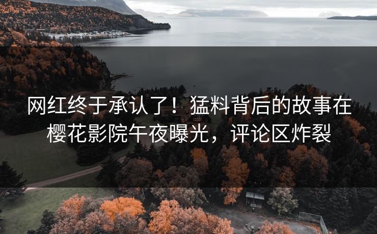 网红终于承认了！猛料背后的故事在樱花影院午夜曝光，评论区炸裂