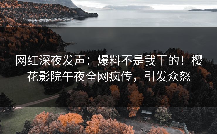 网红深夜发声：爆料不是我干的！樱花影院午夜全网疯传，引发众怒