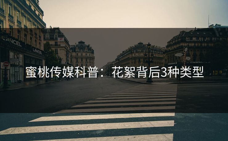 蜜桃传媒科普：花絮背后3种类型
