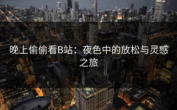晚上偷偷看B站：夜色中的放松与灵感之旅